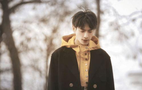 娱乐大爆料王俊凯罗云熙,揭秘明星幕后故事 第2张 娱乐大爆料王俊凯罗云熙,揭秘明星幕后故事 第2张