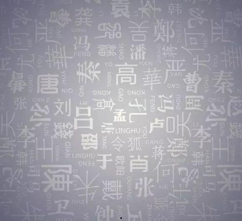 广西姓氏爆料最新消息是什么,最新家族传承揭秘,探寻广西姓氏源流与变迁 第2张 广西姓氏爆料最新消息是什么,最新家族传承揭秘,探寻广西姓氏源流与变迁 第2张